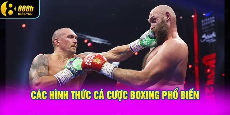 Các hình thức cá cược Boxing phổ biến