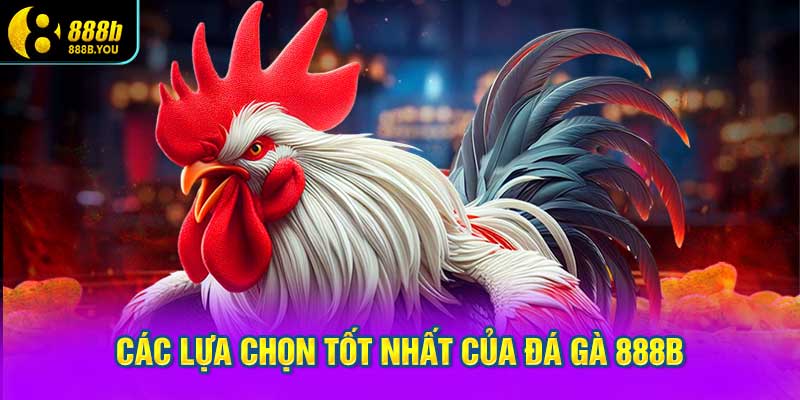 Các lựa chọn tốt nhất của Đá gà 888B