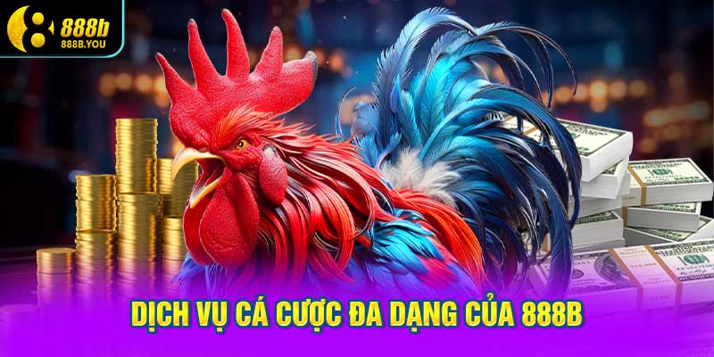 các gói dịch vụ cá cược đa dạng của 888B
