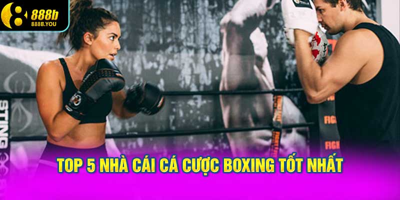 Top 5 nhà cái cá cược Boxing tốt nhất