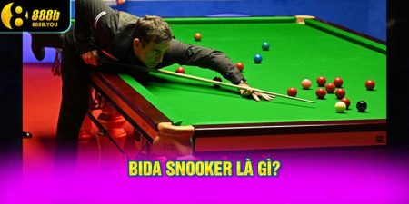 Bida Snooker là gì?