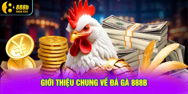 Giới thiệu chung về Đá gà 888B