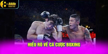 Hiểu rõ về Cá cược Boxing